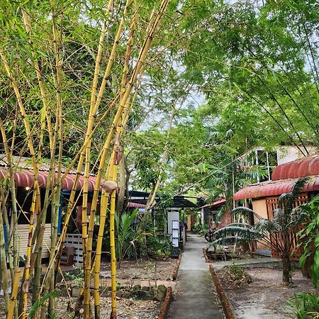 Blissfull Sweet Inn Pantai Cenang  Bagian luar foto