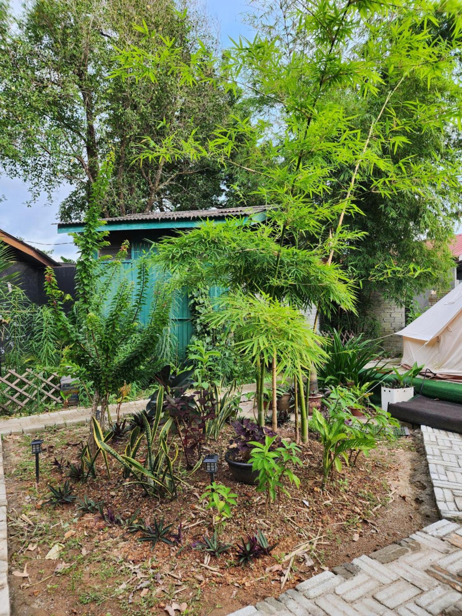 Blissfull Sweet Inn Pantai Cenang  Bagian luar foto