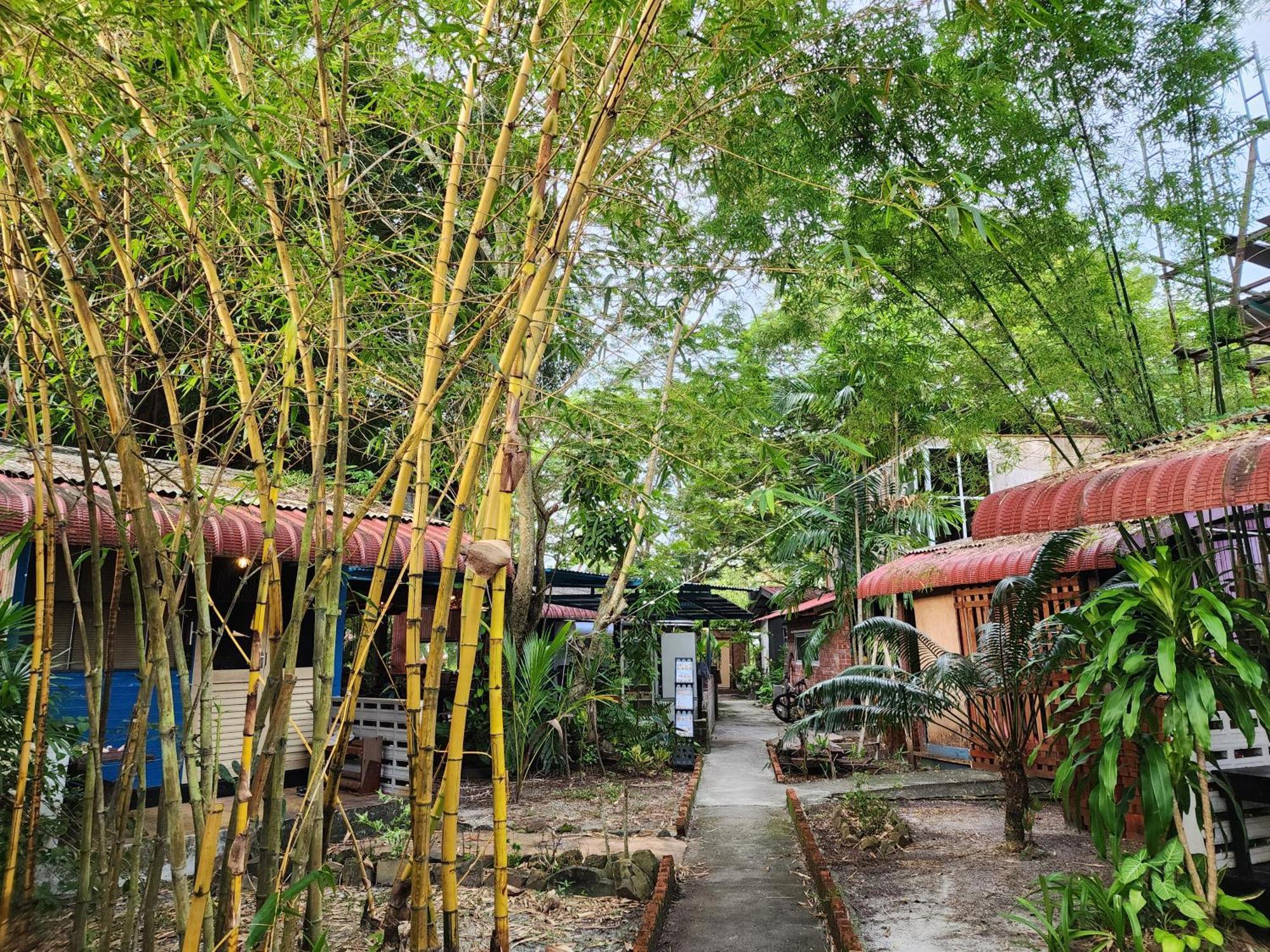 Blissfull Sweet Inn Pantai Cenang  Bagian luar foto